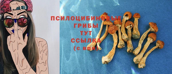 2c-b Богородск
